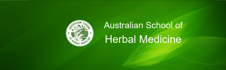 14195446 204035666679844 4034832608319958805 o 768x240