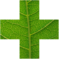 16105882 363177167377864 8842830404675191352 n 1.png nc cat108 nc siddbb9e7 nc ohcOYfjyAmCgqcAX8Qsjkk nc htscontent frt3 1 1