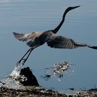 167633 178060672229122 2796298 n 1.jpg nc cat111 nc siddbb9e7 nc ohc6BSg3KT81dAAX98id0m nc htscontent lhr8 1 1