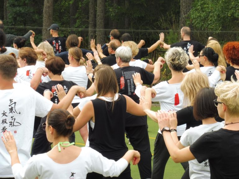 20626234 1528771490478687 8565348545257573562 o 768x576