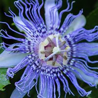 27500389 10159967781015424 1781422334958176986 o 1.jpg nc cat110 nc siddbb9e7 nc ohcVxdv5FFdPG0AX rXrin nc htscontent frx5 1 1