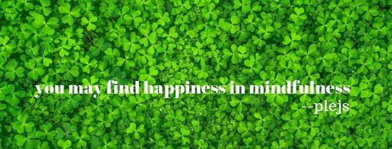 48384477 2104233292972771 6368169497500581888 n 768x292