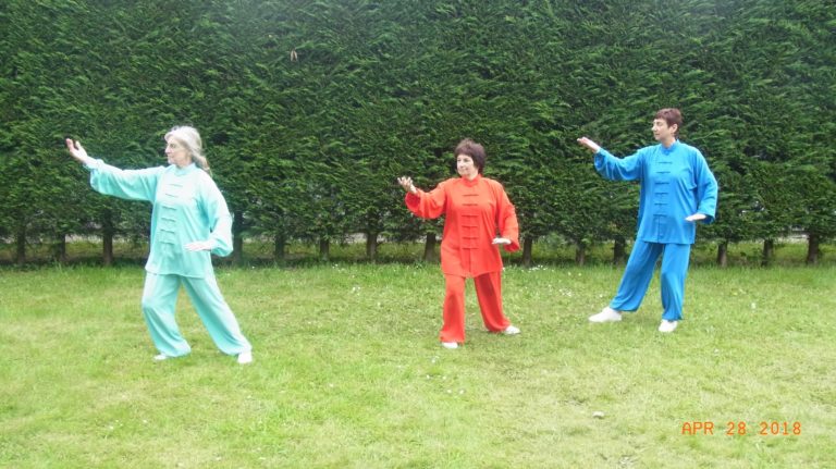 90304550 2994692080581259 1642554128607477760 o 1 768x431