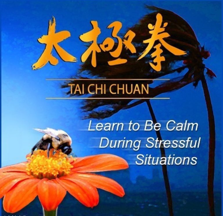 96534725 3120130621370737 1556767177686646784 o 1 768x745