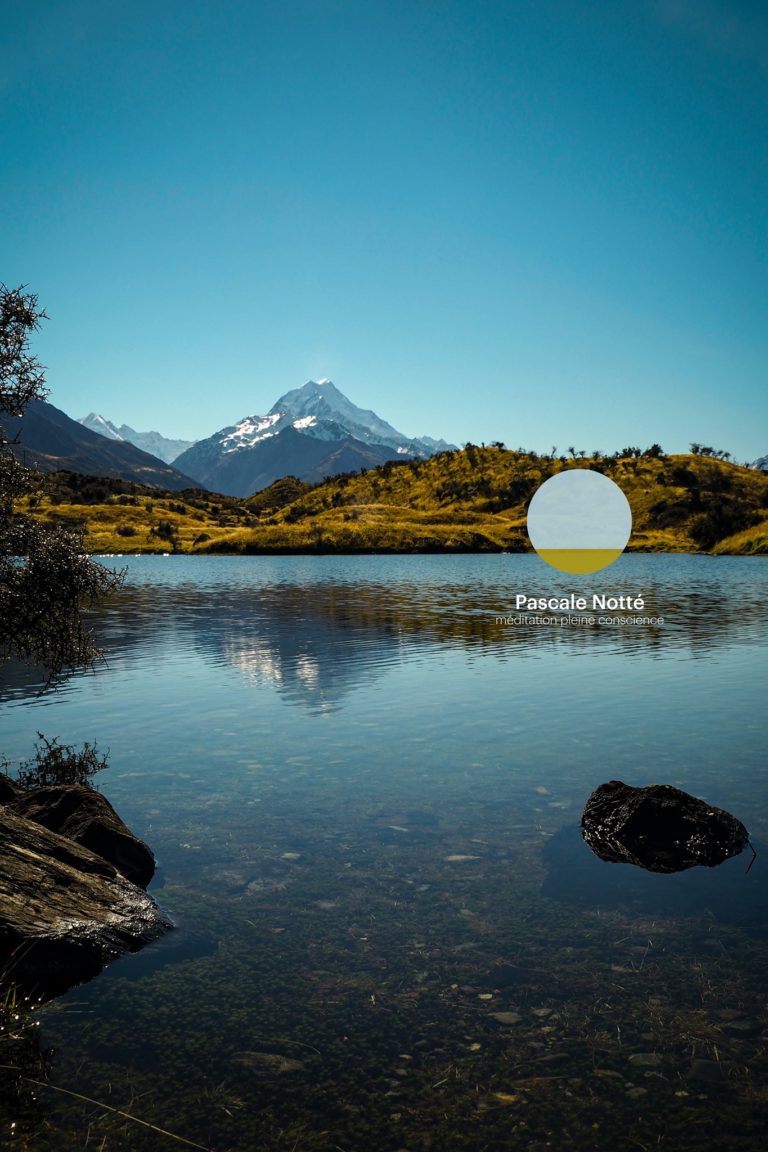 78562889 542792436413961 5683228763850948596 o 1 768x1152