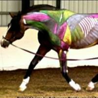 16708189 1294357597310682 7645423748906560569 n 1.jpg nc cat110 nc siddbb9e7 nc ohcTzgp1ui4g0oAX fpUKg nc htscontent bru2 1 1