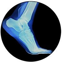 60266679 2228478907244311 2319535798745038848 n 1.jpg nc cat107 nc siddbb9e7 nc ohc6T1nW2BqeGEAX 3czrF nc htscontent bru2 1 1