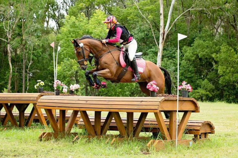 87784156 2800671343345959 5234333088095404032 n 768x512