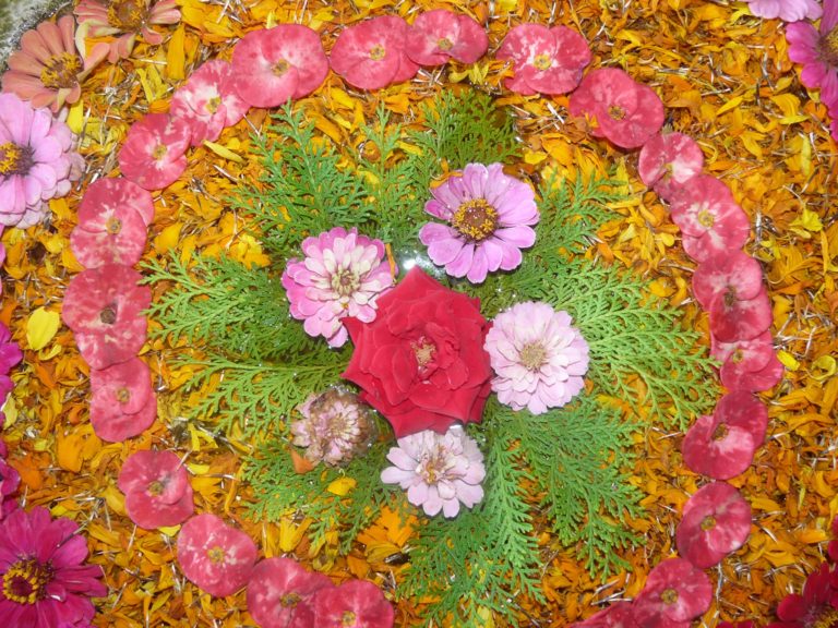 103067808 4440701652610445 6124137662205540437 o 1 768x576