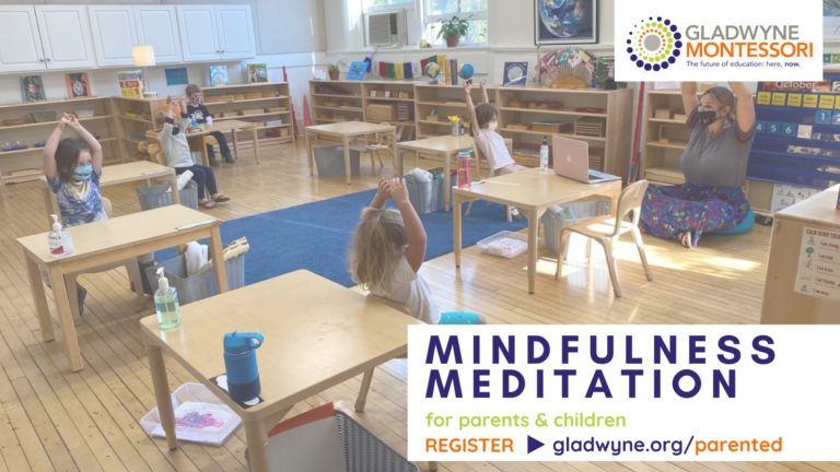 147353267 10157810163411179 8970918986388744917 o 1 768x432