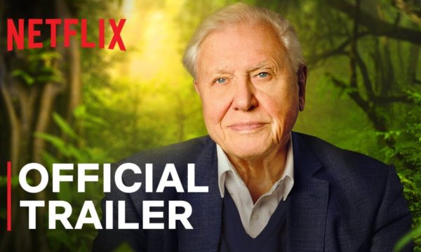 David-Attenborough-A-Life-on-Our-Planet-Official-Trailer-Netflix