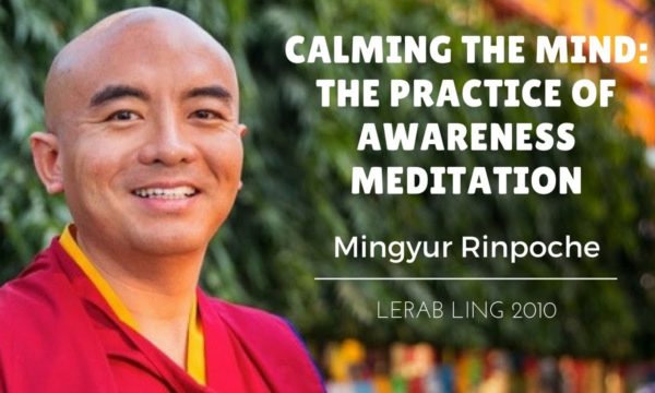 Mingyur-Rinpoche-Calming-the-Mind-The-Practice-of-Awareness-Meditation