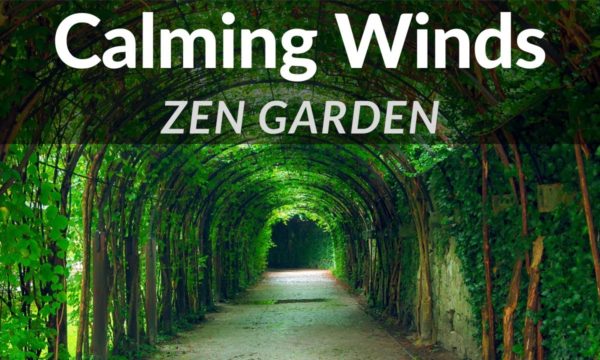 Zen-Garden-Guided-Meditation-for-Anxiety-Panic-Stress-Balance-Worry